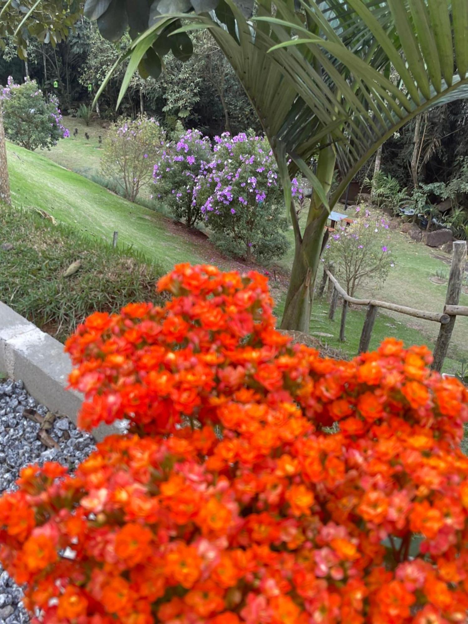 Pousada Sitio Das Pedras Domingos Martins Luaran gambar