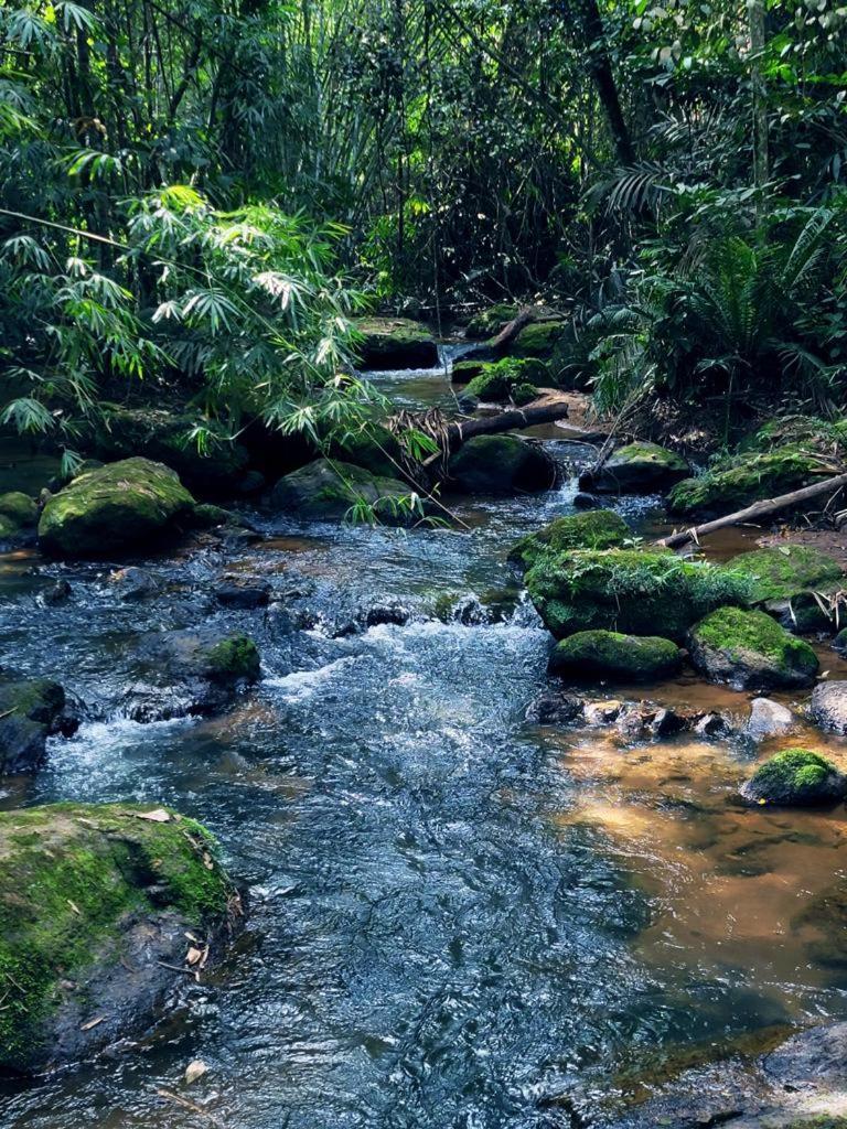 Pousada Sitio Das Pedras Domingos Martins Luaran gambar